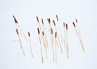 Surviving in the Snow - Judy Smith (open)